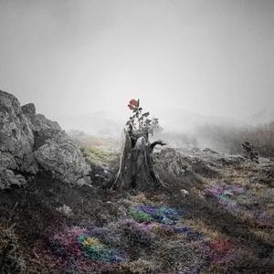 日本人吃头头视频
